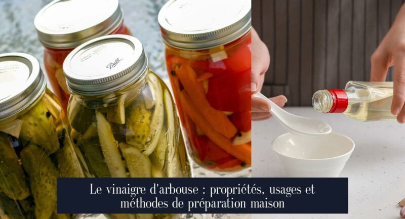 Le vinaigre d'arbouse : propriétés, usages et méthodes de préparation maison