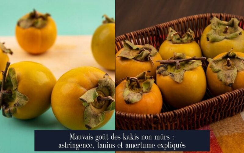 Mauvais goût des kakis non mûrs : astringence, tanins et amertume expliqués