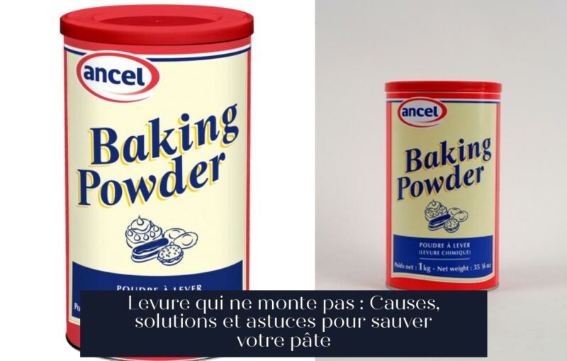 Levure qui ne monte pas : Causes, solutions et astuces pour sauver votre pâte