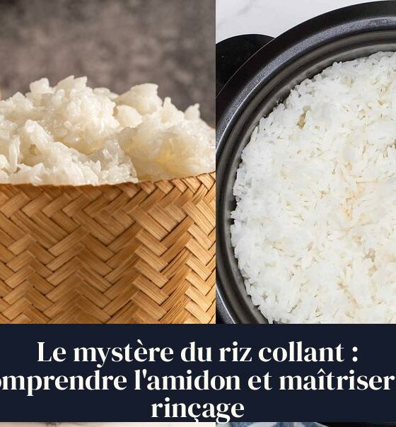 Le mystère du riz collant : comprendre l'amidon et maîtriser le rinçage