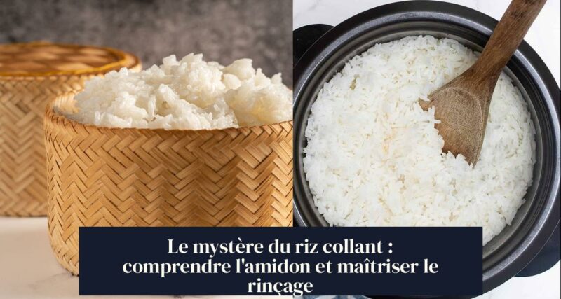 Le mystère du riz collant : comprendre l'amidon et maîtriser le rinçage