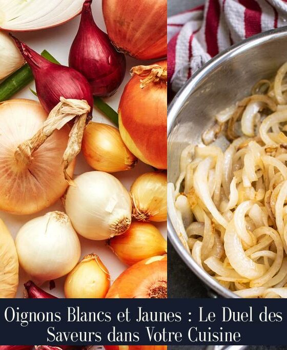 Oignons Blancs et Jaunes : Le Duel des Saveurs dans Votre Cuisine