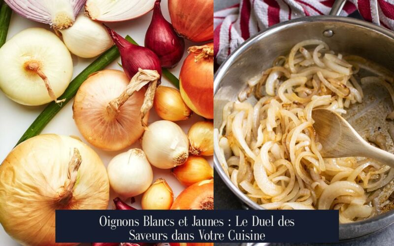 Oignons Blancs et Jaunes : Le Duel des Saveurs dans Votre Cuisine