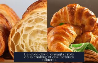 La levée des croissants : rôle de la chaleur et des facteurs influents