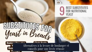 Alternatives à la levure de boulanger et conseils pour une levée réussie