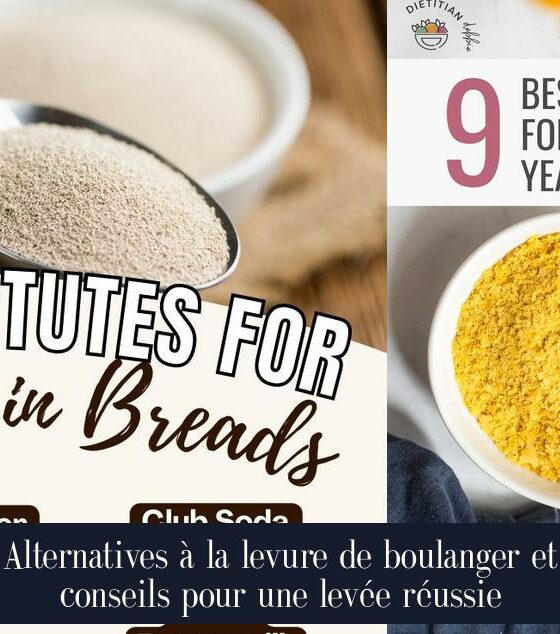 Alternatives à la levure de boulanger et conseils pour une levée réussie