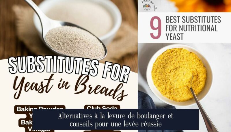 Alternatives à la levure de boulanger et conseils pour une levée réussie