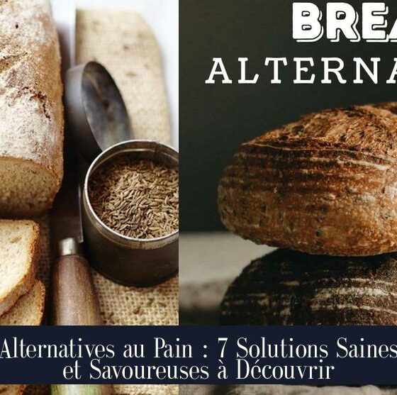 Alternatives au Pain : 7 Solutions Saines et Savoureuses à Découvrir