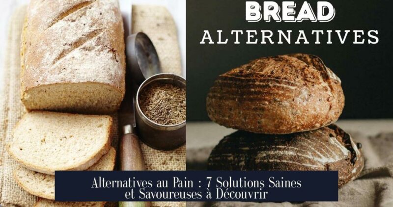 Alternatives au Pain : 7 Solutions Saines et Savoureuses à Découvrir