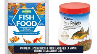 Pourquoi le poisson est-il plus tendre que la viande Analyse des facteurs clés.
