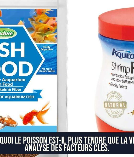 Pourquoi le poisson est-il plus tendre que la viande Analyse des facteurs clés.