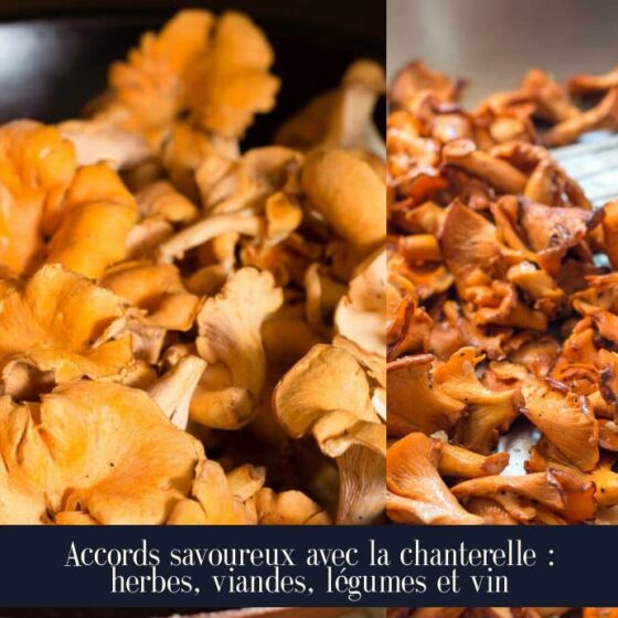 Accords savoureux avec la chanterelle : herbes, viandes, légumes et vin