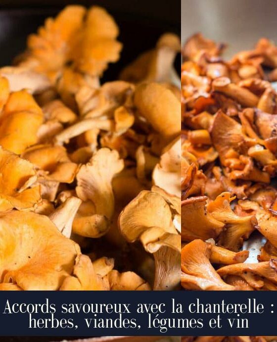 Accords savoureux avec la chanterelle : herbes, viandes, légumes et vin