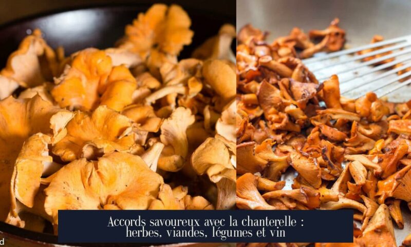 Accords savoureux avec la chanterelle : herbes, viandes, légumes et vin