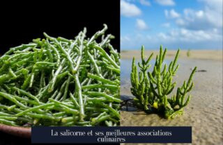 La salicorne et ses meilleures associations culinaires