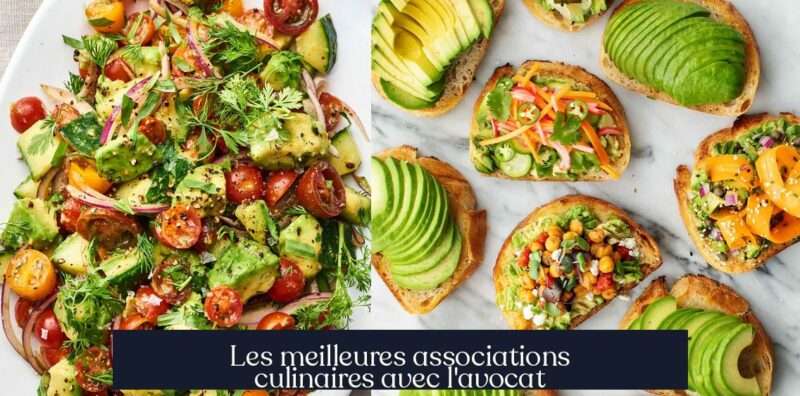Les meilleures associations culinaires avec l'avocat