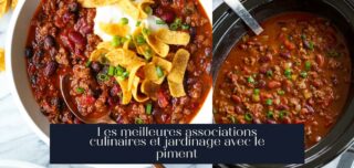 Les meilleures associations culinaires et jardinage avec le piment