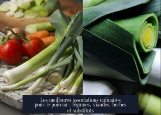 Les meilleures associations culinaires pour le poireau : légumes, viandes, herbes et substituts