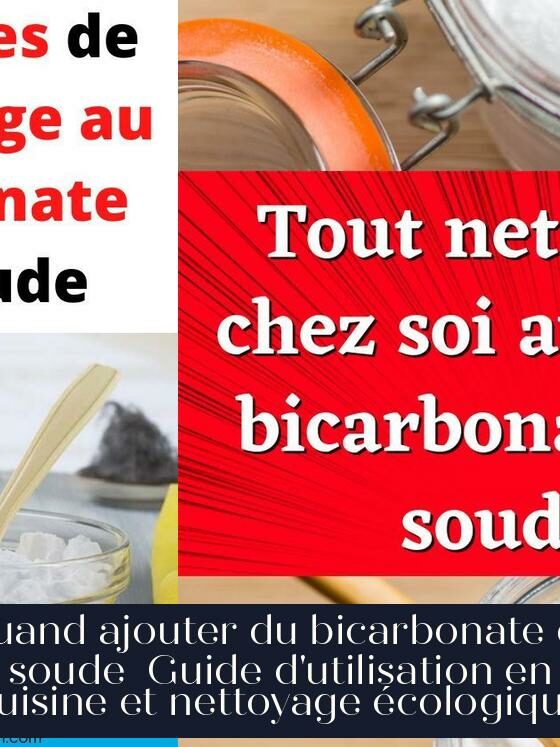 Quand ajouter du bicarbonate de soude Guide d'utilisation en cuisine et nettoyage écologique