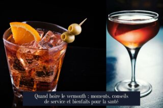 Quand boire le vermouth : moments, conseils de service et bienfaits pour la santé