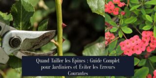 Quand Tailler les Épines : Guide Complet pour Jardiniers et Éviter les Erreurs Courantes