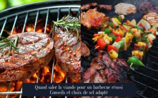 Quand saler la viande pour un barbecue réussi Conseils et choix de sel adapté