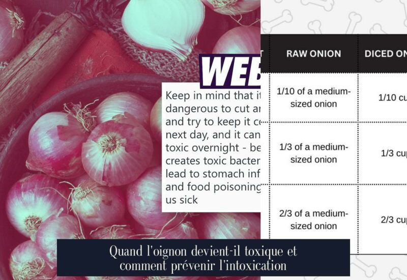 Quand l'oignon devient-il toxique et comment prévenir l'intoxication