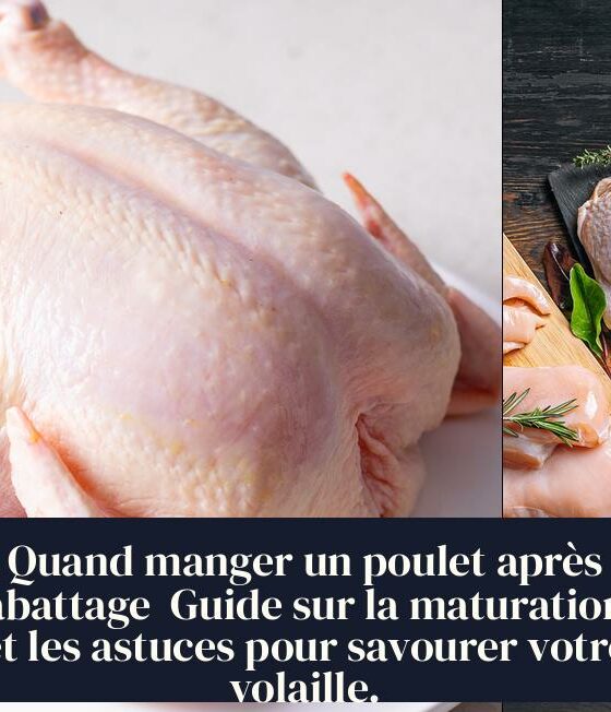 Quand manger un poulet après abattage Guide sur la maturation et les astuces pour savourer votre volaille.