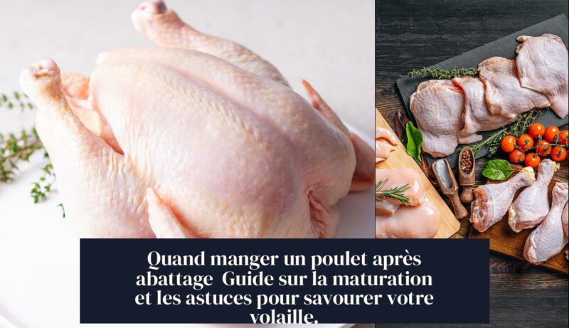 Quand manger un poulet après abattage Guide sur la maturation et les astuces pour savourer votre volaille.