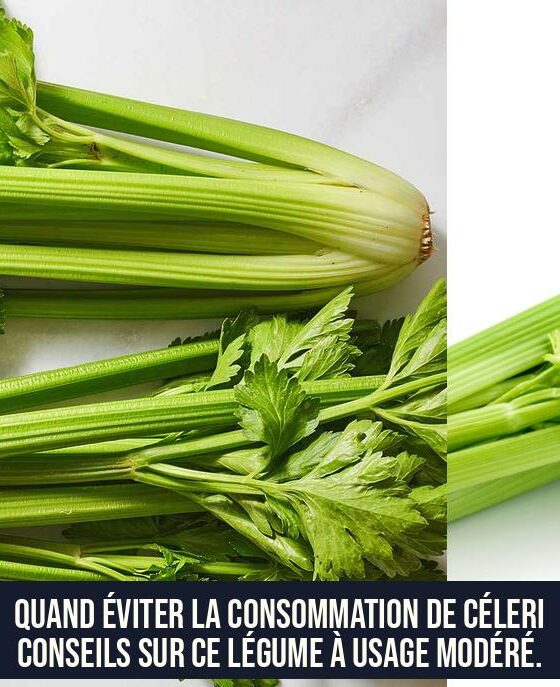 Quand éviter la consommation de céleri Conseils sur ce légume à usage modéré.