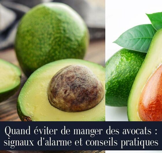 Quand éviter de manger des avocats : signaux d'alarme et conseils pratiques