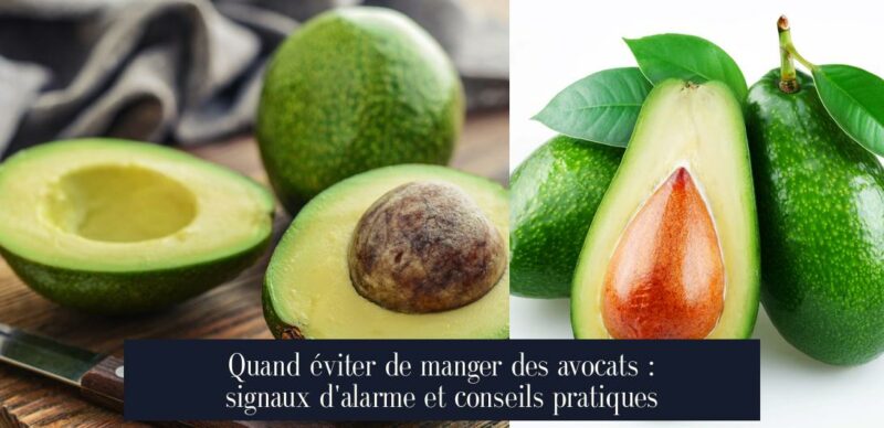 Quand éviter de manger des avocats : signaux d'alarme et conseils pratiques