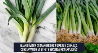 Quand éviter de manger des poireaux Signaux, conservation et effets secondaires expliqués