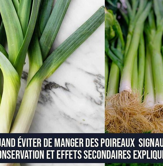 Quand éviter de manger des poireaux Signaux, conservation et effets secondaires expliqués