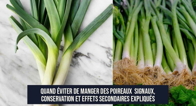 Quand éviter de manger des poireaux Signaux, conservation et effets secondaires expliqués