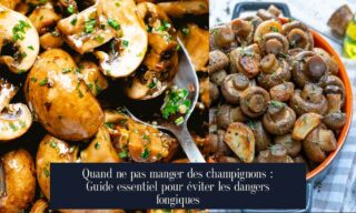Quand ne pas manger des champignons : Guide essentiel pour éviter les dangers fongiques