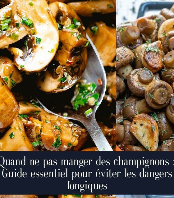 Quand ne pas manger des champignons : Guide essentiel pour éviter les dangers fongiques