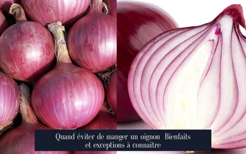 Quand éviter de manger un oignon Bienfaits et exceptions à connaître