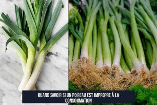 Quand savoir si un poireau est impropre à la consommation