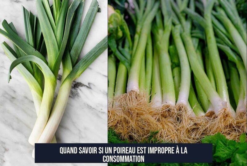 Quand savoir si un poireau est impropre à la consommation