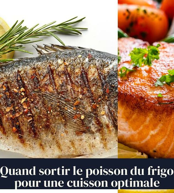 Quand sortir le poisson du frigo pour une cuisson optimale