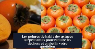 Les pelures de kaki : des astuces surprenantes pour réduire les déchets et embellir votre quotidien