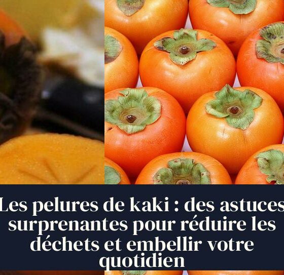 Les pelures de kaki : des astuces surprenantes pour réduire les déchets et embellir votre quotidien