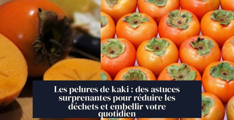 Les pelures de kaki : des astuces surprenantes pour réduire les déchets et embellir votre quotidien