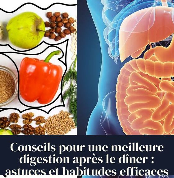Conseils pour une meilleure digestion après le dîner : astuces et habitudes efficaces