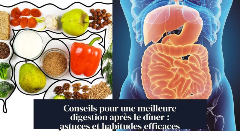Conseils pour une meilleure digestion après le dîner : astuces et habitudes efficaces