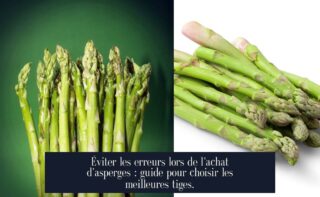 Éviter les erreurs lors de l'achat d'asperges : guide pour choisir les meilleures tiges.