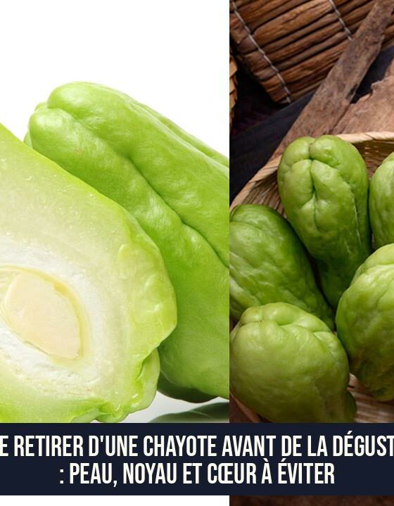 Que retirer d'une chayote avant de la déguster : peau, noyau et cœur à éviter