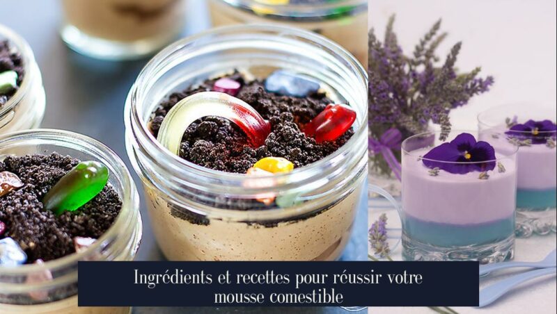 Ingrédients et recettes pour réussir votre mousse comestible