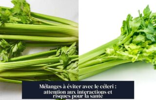 Mélanges à éviter avec le céleri : attention aux interactions et risques pour la santé